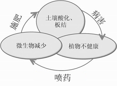 化肥不等于科學(xué)，請(qǐng)客觀評(píng)判！